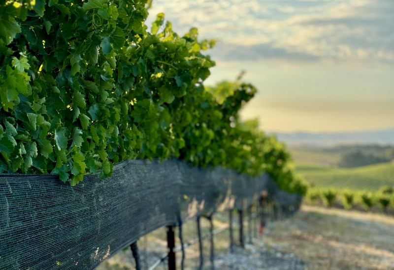 Shade Cloth and Climate Change